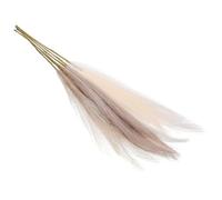 Luxshiny Décoration de Table 6 Pièces Herbe Pampa Artificielle 6 Tiges Beige Jaune Clair Café Clair Bouquet de Roseaux Duveteux Accessoire Déco Mariage et Maison