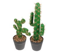 Luxshiny Faux Cactus Et Plante Grasse Artificielle en Pot, Lot De 2 Modèles Réalistes en Plastique, Décorations Compactes pour Bureau, Salon Et Table D’intérieur