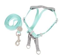 Luxshiny Harnais pour Chaton Anti-évasion Et Laisse De Promenade pour Petit Chat Ensemble Harnais Et Laisse pour Chat Extérieur