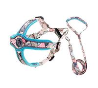 Luxshiny Laisse Réglable Réfléchissante Harnais Anti-Fugue en Tissu Respirant, Taille XS, Ensemble 2 Pièces Bleu, Promenade pour Petits Chiens