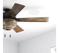 Luxshiny Lot de 4 Cache-Plaques Électriques Rondes en Plastique Noir pour Trou de Plafond, Plaque Plate Vierge, Fixation Facile pour Plafond et Murs Intérieurs