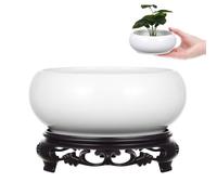 Luxshiny Pot de Fleurs Hydroponique Jardinière Réutilisable en Céramique Ronde avec Base en Plastique pour Balcon et Décoration Intérieure