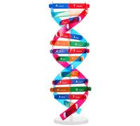 Luxshiny Présentoir D'adn Auto-assemblable, Modèle à Double Hélice, Jouet d'apprentissage de La Génétique, Aide Biologique Éducative, Multicolore, 14,6 Pouces