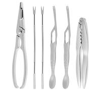 Luxshiny Set de Pinces INOX pour Crustacés avec Boîte de Rangement Outils Ergonomiques pour Fruits de Mer Casse-Noix pour Homard et Noix Accessoires Cuisine Pratiques