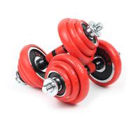 LUXTRI Kit d’haltères Courts et Longs 20kg Set 2en1 avec 12 Plaques de poids Barres Extension Fitness