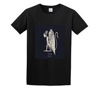 LuxUnatcc Man's T-Shirt Alcest Spiritual Instinct Size L