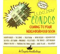 Luxury Condos Coming To Your Neighborhood Soon