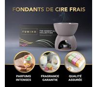 Luxury Handmade Wax Melts-12 Scented Waxes And 6 Intense Fragrances Made From Beeswax And Coconut Oil.[W354]