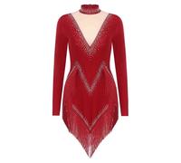 LUYSGBXR Women Tango Leotard Dresses Tassel Dancewear Fringe Cha Ballroom Costume Long Sleeve Samba Latin Dance Fringed Bodysuit(Wine Red,XL)