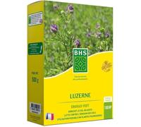 Luzerne - BHS - 500g | 100 m² | Améliore le sol, résiste au froid et à la sécheresse, riche en protéines, minéraux et vitamines.