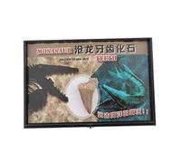 Luzhengyang Dent de dinosaure Mosasaure Collection Science Biologie Outil éducatif, Non disponible, Non disponible