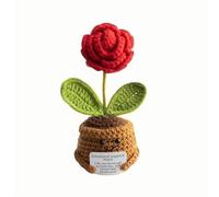 Lvguang Positive Crocheted Potted Plant - Anti-Anxiety Talisman with Motivational Phrase, Ecological Office Or Room Decor (Woman/Cild Gift)
