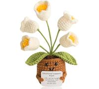 Lvguang Positive Crocheted Potted Plant - Anti-Anxiety Talisman with Motivational Phrase, Ecological Office Or Room Decor (Woman/Cild Gift)