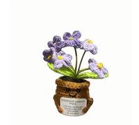 Lvguang Positive Crocheted Potted Plant - Anti-Anxiety Talisman with Motivational Phrase, Ecological Office Or Room Decor (Woman/Cild Gift)