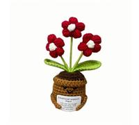 Lvguang Positive Crocheted Potted Plant - Anti-Anxiety Talisman with Motivational Phrase, Ecological Office Or Room Decor (Woman/Cild Gift)