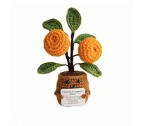 Lvguang Positive Crocheted Potted Plant - Anti-Anxiety Talisman with Motivational Phrase, Ecological Office Or Room Decor (Woman/Cild Gift)