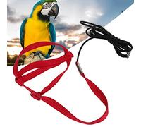 lvifloae Elastic Parrot Harness Leash Bird Bird Bite Proof Aviator Harness Adjustable Perrot Flying Training Corde avec Hook Metal Hook Nylon Bilet pour Les calques Marche (XS)