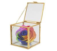 lvifloae Glass Planter Geometric Gold Edge Plant Container Home Decoration Succulent Holder for Office Garden Restaurant Transparent Gold 10x10x10cm 455g