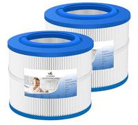 LVJUSEN® Lot de 2 filtres de rechange pour Wellspring 10-00282 Bullfrog, compatible avec les filtres Bullfrog Spa Série A/R Series/X Series, Wellspring 30
