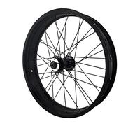 LvTu 20 x 4.0 Pouces Roue Avant Fat Bike, Roues de Vélo de Neige Alliage Freins à Disque for 20 x 4.0 Pouces Roues de Vélo de Plage