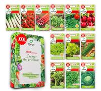 LW TORAF Samen Set XXL 12 Premium variétés de légumes, semences légumes jardin, 2500 graines de plantes, potager, balcon, cuisine, salades, fraise, radis, ciboulette, épinards, roquette, rhubarbe