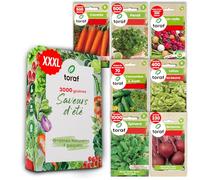 LW TORAF Set de graines XXL 7 variétés de légumes premium, graines de légumes jardin, 3000 graines de plantes, potager, cuisine, carotte, persil, radis, betterave rouge, laitue, concombre et aneth