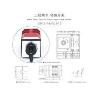 LW12-16/GL24.2 16A Three Position Two Pole Momentary Knob Changeover Control Cam Switch Single Reset Switch NWPNLXEA