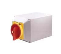 LW26GS-125/4M Padlock With Box IP65 Four Wire Two Positions Dual Power Supply electronic starter Rotary Cam Switch YMW26-125A NWPNLXEA(Customize)