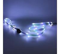 LWBMG Laisse LED pour chien à 3 modes d'éclairage - Rechargeable - 1,2 m - Pour promenade nocturne - Laisse en silicone pour chiens de petite, moyenne et grande taille - Violet