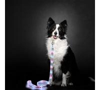 LWBMG Laisse LED pour chien à 3 modes d'éclairage - Rechargeable - 1,2 m - Pour promenade nocturne - Laisse en silicone pour chiens de petite, moyenne et grande taille - Bleu