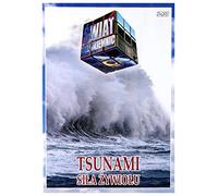 Ĺwiat Bez Tajemnic 15: Tsunami SiĹa ĹťywioĹu [DVD] (Pas de version française)