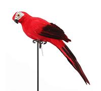 lwingflyer Perroquet Artificiel Rouge Taille Réelle Mousse Plume Perroquet Ara Oiseaux pour la Décoration Costume Epaule Ornement Moderne Maison Jardin Fête Décor (13,8 Pouces / 35 cm)