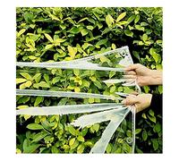 LWJSOCP Bâche avec œillets, Transparente, résistante à la poussière, pour toiture extérieure Toutes Saisons, abri de Voiture, Serre (Couleur : Transparent, Taille : 1 * 1 m)