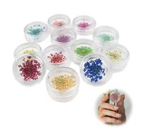 LWLWA Fleurs Séchées Nail, 12 Couleurs Nail Fleur Séchée, 3D Nail Art Véritable Fleur Séchée, avec Petite Boîte Transparente, pour Décoration Nail Art, Conception de Bijoux, Signets