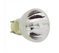 LWLZVDUD Lampe de projecteur de remplacement BL-FP210A/SP.70201GC01 for O-PTOMA DW318e DW322 H117ST H185X W308STe W316ST W319ST W334e(CB)