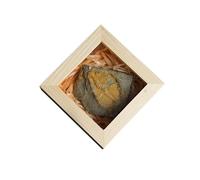 LWQCHW Boîte à spécimen de trilobite naturelle Reliquiae - Aide pédagogique minérale préhistorique - Décoration d'intérieur et cadeau éducatif pour enfants