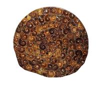 LWQCHW Plaque ronde en fossile d'ammonite naturelle de Madagascar - Décoration d'intérieur - 30 cm - Fossiles d'histoire naturelle pour collection