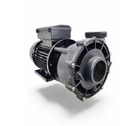 LX LP200 Pompe Whirlpool Spa 1500W 1 Vitesse