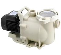 LX Self Priming Pump of Sea Water Swimming Pool Pump and Filter