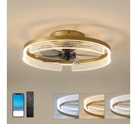 LXAOTZG Plafonnier Ventilateur De Plafond Chambre 50 cm Avec Lampe Intégrée Moteur DC Réversible 20W Led Dimmable 2560lm Silencieux Pour Appartement Plafonnier