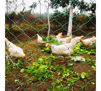 LXGKREL Filet à volailles très robuste en 36 fils avec nœuds fixes - Maille de 5 cm - Sans électricité - Pour la protection des oiseaux de proie - Complément idéal pour le poulailler - 4 x 5 m