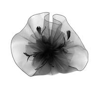 LXJLXD Voile de confidentialité confortable pour le visage - Accessoire de photographie professionnel pour l'industrie du divertissement (noir)