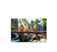 LXLXQ Impression sur Toile Perroquet Peinture Toile Cascade Mur Art Salon Moderne Maison Animaux Photos Canapé Décor （50 × 70CM/19,6 × 27,5 Pouces） sans Cadre