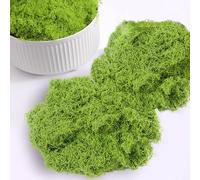 Lxoraziy 200g Mousse Artificielle Decoration, Nylon Fausse Mousse Vegetale, Mousse Stabilisée, pour Compositions Florales, Travaux Manuels, Vert Clair