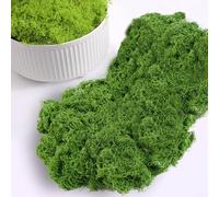 Lxoraziy 200g Mousse Artificielle Decoration, Nylon Fausse Vegetale, Stabilisée pour Compositions Florales, Travaux Manuels, Vert Foncé