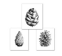 LXWWW Art impression dessiner pomme de pin toile peinture noir et blanc mur Art affiches imprime photos salon cuisine décoratif 50x70cmx3 sans cadre