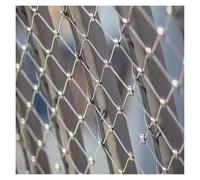 LXYAYY Filet de sécurité en acier inoxydable 304 - Filet antivol en acier inoxydable 304 - 10 cm/2 mm - Filet de prévention des chutes - Maille de type X (1 x 10 m)