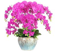 LXYAYY Fleurs artificielles décoratives artificielles au toucher réaliste, arrangements de fleurs d'orchidée en latex, pot de floriculture phalaenopsis bonsaï (couleur : violet, taille : L)