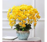 LXYAYY Fleurs artificielles décoratives artificielles au toucher réaliste, arrangements de fleurs d'orchidée en latex, pot de floriculture phalaenopsis bonsaï (couleur : jaune, taille : grande)