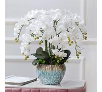 LXYAYY Fleurs artificielles décoratives artificielles au toucher réaliste, arrangements de fleurs d'orchidée en latex, pot de floriculture phalaenopsis bonsaï (couleur : blanc, taille : moyen)